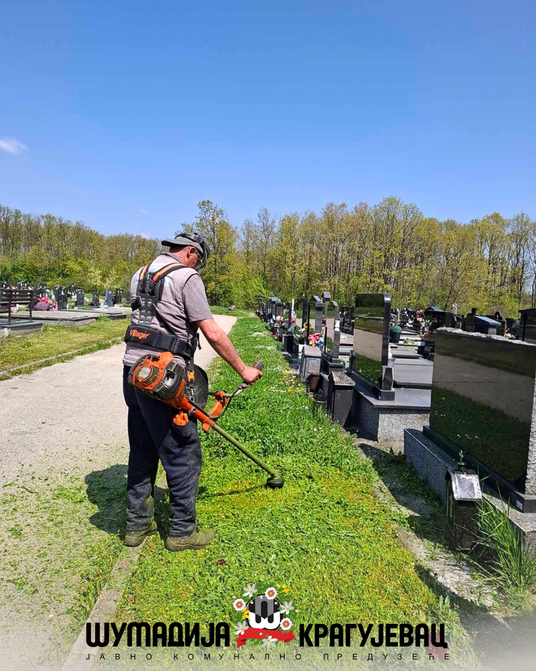 Радови на уређењу гробaља уочи Побусаног понедељка